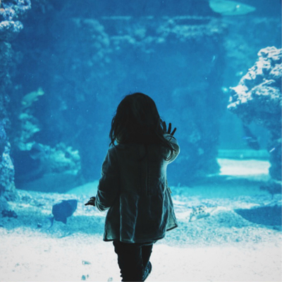 A girl standing in front of an aquarium